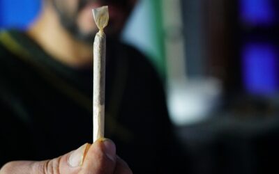 The Dilemma of Marijuana Testing for Employers in California and Washington in 2024